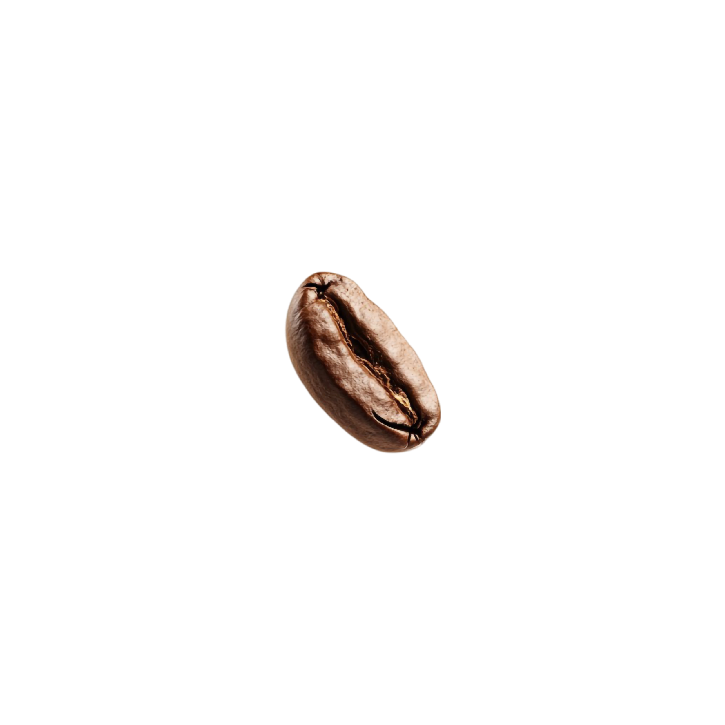 Coffee bean